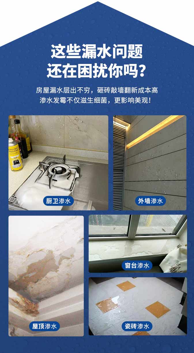 尊龙凯时·(中国)人生就是搏!